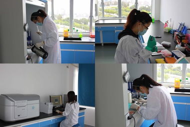 欧易访谈 专注生物技术服务，以技术开发驱动质量与体验双提升