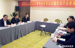 萨纳斯与庞沃电力强强联合，开启海外新能源技术服务新篇章